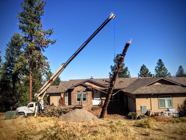 14 Ton Boom Truck Service Tree Removal by Penny Oberlander at Pro Weld