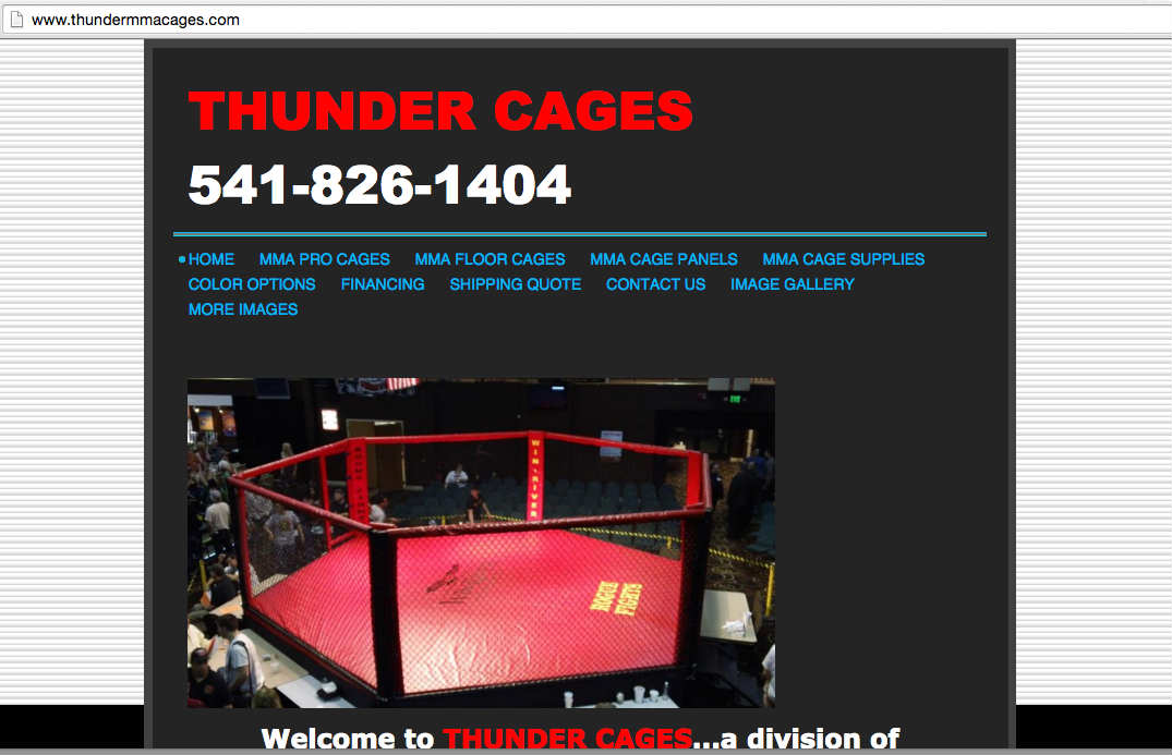 Here is the current thunder cages website, but Coming soon Thunder Cages website redesign